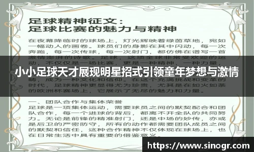 小小足球天才展现明星招式引领童年梦想与激情